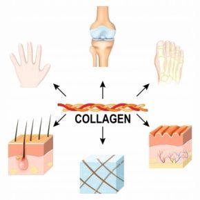 Aarkada TC16 serum kolagenowe regeneracja paznokci i skóry z kolagenem 11ml