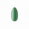 Boska Nails 407 Green Grass kolorowy lakier hybrydowy 6ml - 3