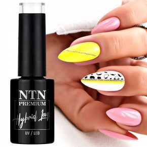 NTN zestaw do hybrydy 5 x lakier hybrydowy (do wyboru) + baza + top + preparaty + akcesoria