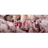 Claresa Dusty Rose 2 kolorowy lakier hybrydowy 5g - 2