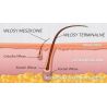 ItalWax Zestaw do depilacji 12x wosk w rolce Honey 100ml + 2x żel 100ml gratis - 4
