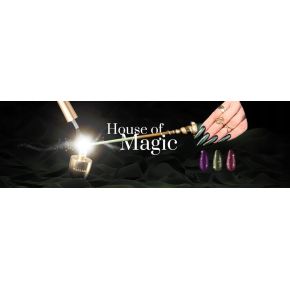 Makear House of Magic S14 Violetclaw - kolorowy lakier hybrydowy 8 ml