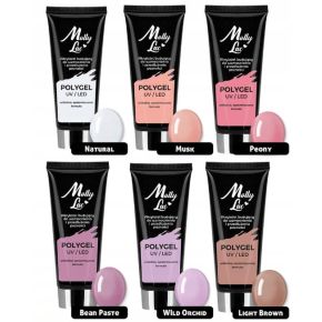 Molly Lac Zestaw do akrylożelu 2x akrylożel Poly Gel 15ml + Slip Solution 100ml + akcesoria