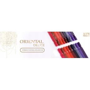 Ntn Premium 263 Oriental Delice kolorowy lakier hybrydowy do paznokci 5g