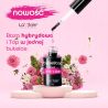 Świąteczny zestaw do hybrydy 5x La’kier + GRATIS - 3