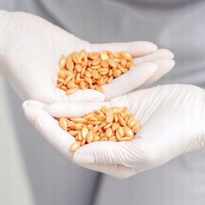 Zestaw do depilacji - podgrzewacz PRO WAX 700 + wosk 500g (do wyboru) + preparaty + talk + szpatułki