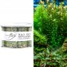Zestaw do depilacji paskowej ItalWax podgrzewacz 100W + wosk w puszce 400ml Flex Algae algowy + dodatki - 6