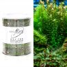 Zestaw do depilacji paskowej ItalWax podgrzewacz 100W + wosk w puszce 800ml Flex Algae algowy + dodatki - 6