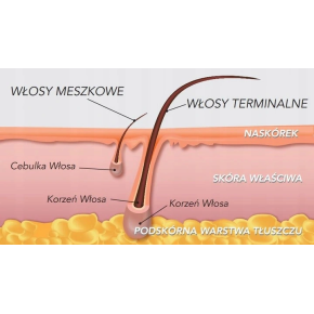 Zestaw do DEPILACJI SKÓRY WRAŻLIWEJ podgrzewacz 3x WOSK 100g TOP LINE HIPOALERGICZNY ITALWAX szpatułki kosmetyki