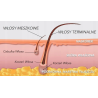 Zestaw do DEPILACJI SKÓRY WRAŻLIWEJ podgrzewacz 3x WOSK 100g TOP LINE HIPOALERGICZNY ITALWAX szpatułki kosmetyki - 14