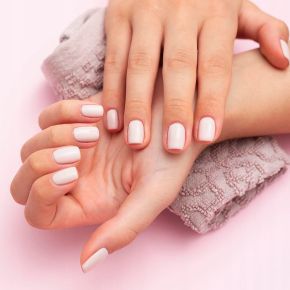 Zestaw niezbędnych preparatów do stylizacji paznokci NTN Premium + miseczka do manicure