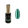 Boska Nails 448 Greenland kolekcja Special Time kolorowy lakier hybrydowy 6ml - 1