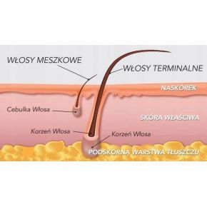 10x wosk w rolce Honey 100g ItalWax
