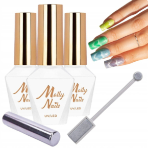 Molly Nails Zestaw lakier Cat Eye 8g (3 kolory do wyboru) + 2x magnetyzer do kociego oka