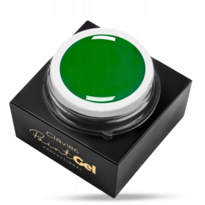 Clavier Paint Gel Ornamenty Green 5g zielony żel do zdobień paznokci