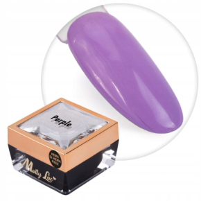 Molly Lac Paint Gel 19 Purple Żel do zdobień ombre i ornamentów HEMA/Di-HEMA Free 5g
