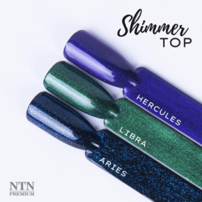 NTN Premium Shimmer Top No Wipe Aries 5g