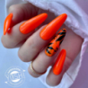 Yoshi Yoshi Zestaw 6x Top Tempered 10ml do lakierów hybrydowych - 14