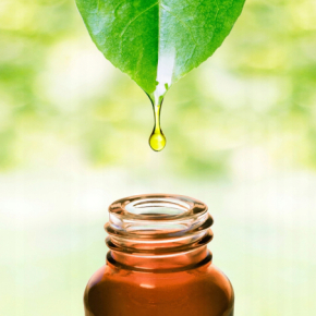 Aromatum Lawenda Naturalny olejek eteryczny uspokajający i wspomagający leczenie infekcji dróg oddechowych 12ml