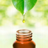 Aromatum Lawenda Naturalny olejek eteryczny uspokajający i wspomagający leczenie infekcji dróg oddechowych 12ml - 7