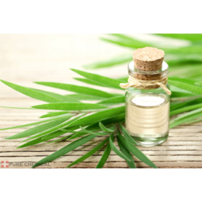 Pure Chemical Olejek eteryczny z drzewa herbacianego Naturalny olejek przeciwbakteryny, przeciwgrzybiczny, wspomaga odporność 100ml
