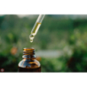 Pure Chemical Olejek eteryczny z drzewa herbacianego Naturalny olejek przeciwbakteryny, przeciwgrzybiczny, wspomaga odporność 100ml - 8