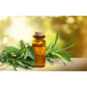 Pure Chemical Olejek eteryczny z drzewa herbacianego Naturalny olejek przeciwbakteryny, przeciwgrzybiczny, wspomaga odporność 100ml - 10
