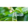 Pure Chemical Olejek eteryczny z drzewa herbacianego Naturalny olejek przeciwbakteryny, przeciwgrzybiczny, wspomaga odporność 100ml - 11