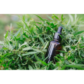  wspomaga odporność 30ml