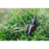  wspomaga odporność 30ml - 3