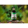 Pure Natura Olejek eteryczny sosnowy Naturalny olejek eteryczny oczyszczający, relaksujący, antyseptyczny, przeciwbólowy 100ml - 5