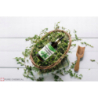 Pure Natura Olejek eteryczny tymiankowy Naturalny olejek eteryczny odświeżający, antybakteryjny, relaksacyjny 30ml - 6