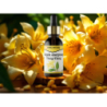 Pure Natura Olejek eteryczny Ylang Ylang Naturalny olejek eteryczny relaksujący 30ml - 4