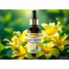 Pure Natura Olejek eteryczny Ylang Ylang Naturalny olejek eteryczny relaksujący 30ml - 5