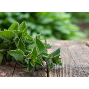 Pure Natura Olejek eteryczny z mięty pieprzowej Naturalny olejek eteryczny poprawia trawienie, leczy ból głowy, mięśni i stawów, poprawia stan skóry 30ml