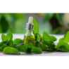 Pure Natura Olejek eteryczny z mięty pieprzowej Naturalny olejek eteryczny poprawia trawienie, leczy ból głowy, mięśni i stawów, poprawia stan skóry 30ml - 7