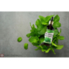 Pure Natura Olejek eteryczny z mięty pieprzowej Naturalny olejek eteryczny poprawia trawienie, leczy ból głowy, mięśni i stawów, poprawia stan skóry 30ml - 3