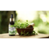Pure Natura Olejek eteryczny z oregano Naturalny olejek eteryczny przeciwzapalny i antybakteryjny wspomagający odporność oczyszczający 30ml - 5
