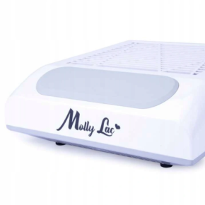 Pochłaniacz pyłu 80W kasetowy Molly Lac White biały