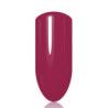 LaKier Valentines Love Collection 385/1 kolorowy lakier hybrydowy do paznokci 5g - 3