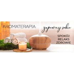 Dyfuzor Aroma nawilżacz powietrza 240ml aromaterapia kredka kolor niebieski