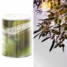 Zestaw do depilacji paskowej ItalWax podgrzewacz 100W  wosk w puszce 800ml Olive oliwkowy  dodatki - 6