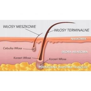 ItalWax duży żel przed depilacją 250ml